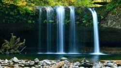 Rekomendasi 3 Curug Indah di Bogor untuk Liburan Tenang