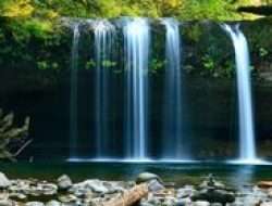 Rekomendasi 3 Curug Indah di Bogor untuk Liburan Tenang