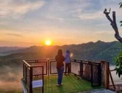 Rekomendasi Wisata Wonogiri: Bukit Dewa Dewi, Kebun Alpukat dengan Pemandangan Indah